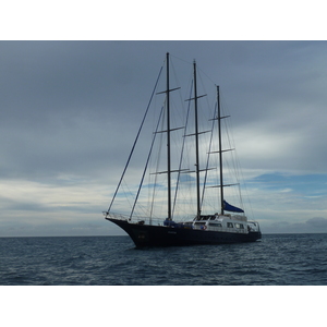รูปถ่าย เซเชลส์(Seychelles) ซีสตาร์(Sea Star) 2011-10 1