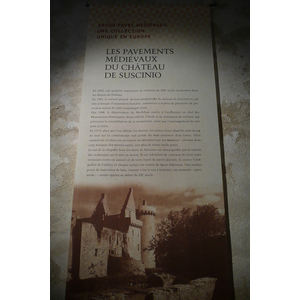 รูปถ่าย ฝรั่งเศส(France) ซืสซีนีโอ(Suscinio) ปราสาทซูซีนีโอ(Suscinio Castle) 2007-09 72