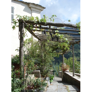 รูปถ่าย ฝรั่งเศส(France) คอร์สิคา(Corsica) วัลเล-ดาเลซานี(Valle d'alesani) 2006-09 7