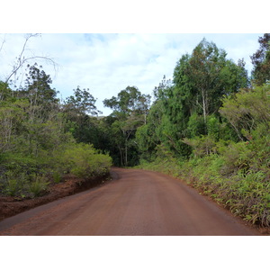 รูปถ่าย นิวแคลิโดเนีย(New Caledonia) อุทยานริเวียร์เบลอ(Parc de la Riviere Bleue) 2010-05 56