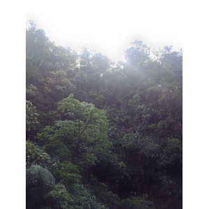 รูปถ่าย คอสตาริกา(Costa Rica) แม่น้ำปากัวเร(Pacuare River) 2015-03 153