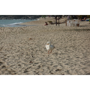 รูปถ่าย ไทย(Thailand) เกาะช้าง(Ko Chang) หาดทรายขาว(White sand beach) 2011-02 3