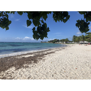 รูปถ่าย กวาเดอลูป(Guadeloupe) แซ็งฟร็องซัว(Saint Francois) 2021-02 55