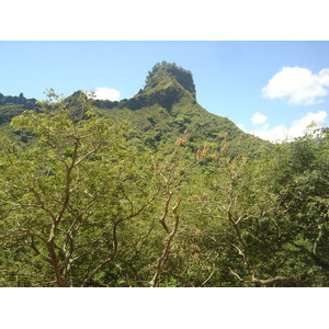 รูปถ่าย เฟรนช์โพลี่นีเซีย(Polynesia) หมู่เกาะมาร์เคซัส(Marquises) 2006-04 166