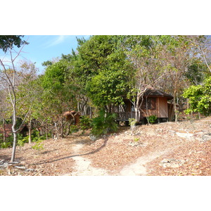 รูปถ่าย ไทย(Thailand) เกาะเสม็ด(Ko Samet) 2009-01 46