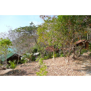 รูปถ่าย ไทย(Thailand) เกาะเสม็ด(Ko Samet) 2009-01 47