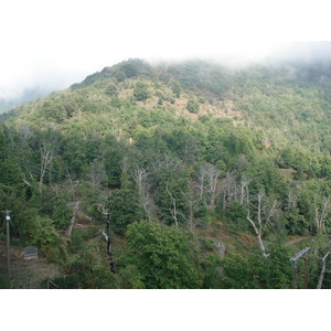 รูปถ่าย ฝรั่งเศส(France) คอร์สิคา(Corsica) วัลเล-ดาเลซานี(Valle d'alesani) 2006-09 14