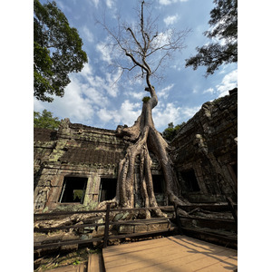 รูปถ่าย กัมพูชา(Cambodia) เสียมราฐ(Siem Reap) ปราสาทตาพรหม(Ta Prohm) 2023-01 47