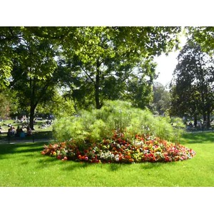 รูปถ่าย ฝรั่งเศส(France) ปารีส(Paris) สวนมงโซ(Monceau Garden) 2007-09 4