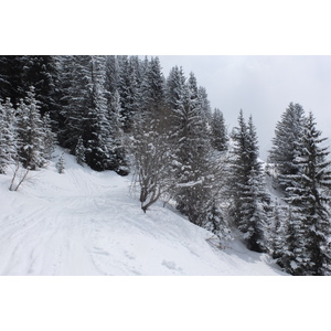 รูปถ่าย ฝรั่งเศส(France) เลทรัววาเล(Les 3 Vallees) 2013-03 333