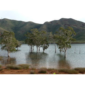 รูปถ่าย นิวแคลิโดเนีย(New Caledonia) อุทยานริเวียร์เบลอ(Parc de la Riviere Bleue) 2010-05 73