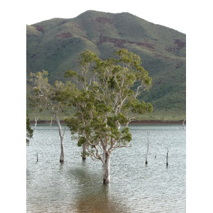 รูปถ่าย นิวแคลิโดเนีย(New Caledonia) 2010-05 58