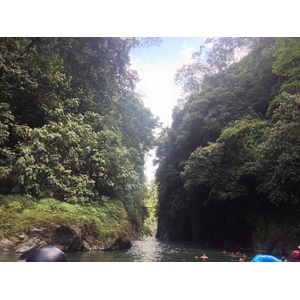รูปถ่าย คอสตาริกา(Costa Rica) แม่น้ำปากัวเร(Pacuare River) 2015-03 269