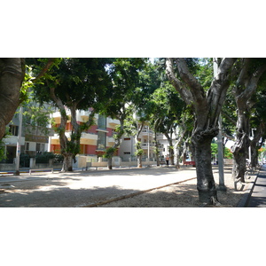 รูปถ่าย อิสราเอล(Israel) เทลอาวีฟ(Tel Aviv) ถนนรอธส์ไชลด์(Rothschild Street) 2007-06 13