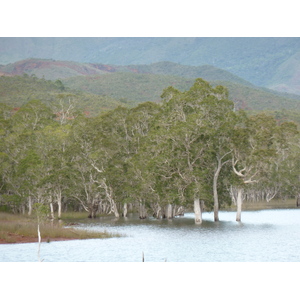 รูปถ่าย นิวแคลิโดเนีย(New Caledonia) อุทยานริเวียร์เบลอ(Parc de la Riviere Bleue) 2010-05 33