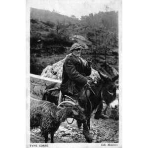 รูปถ่าย ฝรั่งเศส(France) คอร์สิคา(Corsica) โปสการ์ดเก่า(Old Postcards) 1900-01 318