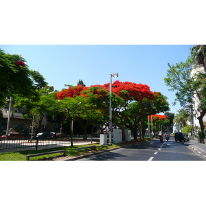 รูปถ่าย อิสราเอล(Israel) เทลอาวีฟ(Tel Aviv) ถนนรอธส์ไชลด์(Rothschild Street) 2007-06 17