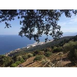 รูปถ่าย ฝรั่งเศส(France) คอร์สิคา(Corsica) ซานมาร์ตีโนดีโลตา(San Martino di Lota) 2017-09 1