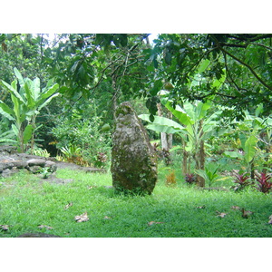รูปถ่าย เฟรนช์โพลี่นีเซีย(Polynesia) หมู่เกาะมาร์เคซัส(Marquises) 2006-04 118