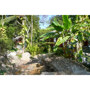 รูปถ่าย ไทย(Thailand) เกาะเสม็ด(Ko Samet) 2009-01 80