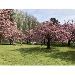 รูปถ่าย ฝรั่งเศส(France) สวนโซ(Parc de Sceaux) 2019-04 10
