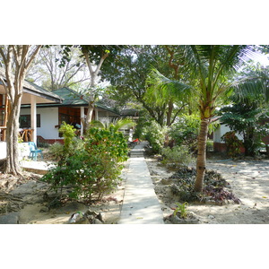 รูปถ่าย ไทย(Thailand) เกาะเสม็ด(Ko Samet) 2009-01 97