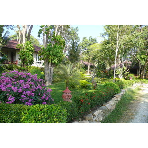 รูปถ่าย ไทย(Thailand) เกาะเสม็ด(Ko Samet) 2009-01 16