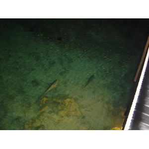 รูปถ่าย เฟรนช์โพลี่นีเซีย(Polynesia) โรงแรมเลอเมอริเดียน โบราโบรา(Meridien Bora Bora Hotel) 2006-04 15