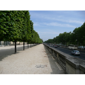 รูปถ่าย ฝรั่งเศส(France) ปารีส(Paris) สวนตุยเลอรี(Garden of Tuileries) 2007-05 243