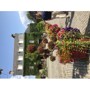 รูปถ่าย ฝรั่งเศส(France) รอชฟอร์-อ็อง-แตร์(Rochefort en terre) 2017-08 68
