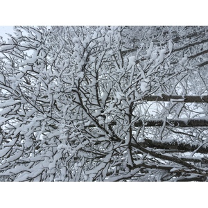 รูปถ่าย ฝรั่งเศส(France) เมแฌฟว์(Megeve) 2016-02 7