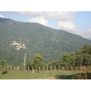 รูปถ่าย ฝรั่งเศส(France) คอร์สิคา(Corsica) วัลเล-ดาเลซานี(Valle d'alesani) 2006-09 105