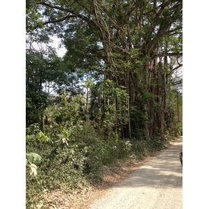 รูปถ่าย คอสตาริกา(Costa Rica) มอนเตซูมา(Montezuma) 2015-03 250