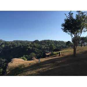 รูปถ่าย ไทย(Thailand) อุทยานแห่งชาติภูหินร่องกล้า(Phu Hin Rong Kla National Park) 2014-12 293