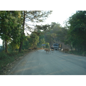 รูปถ่าย ไทย(Thailand) ถนนจากเชียงใหม่ไปปาย(Chiang Mai to Pai road) 2007-02 136