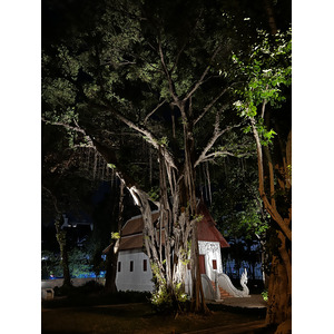 รูปถ่าย ไทย(Thailand) เชียงใหม่(Chiang Mai) 2024-01 18