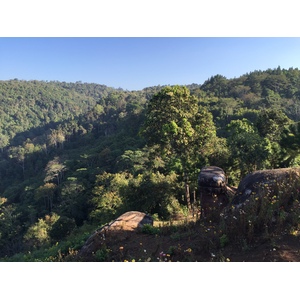 รูปถ่าย ไทย(Thailand) อุทยานแห่งชาติภูหินร่องกล้า(Phu Hin Rong Kla National Park) 2014-12 152