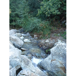 รูปถ่าย ฝรั่งเศส(France) คอร์สิคา(Corsica) วัลเล-ดาเลซานี(Valle d'alesani) 2006-09 136