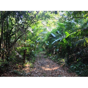 รูปถ่าย คอสตาริกา(Costa Rica) อูบีตา(Uvita) 2015-03 6