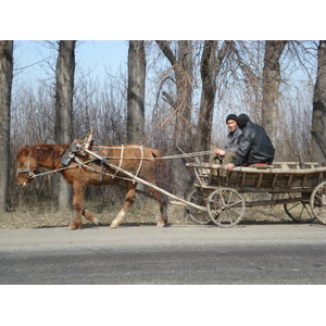 รูปถ่าย คาซัคสถาน(Kazakhstan) ถนนจากอัลมาตีไปหุบผาชารึน(Almaty to Charyn Canyon road) 2007-03 166