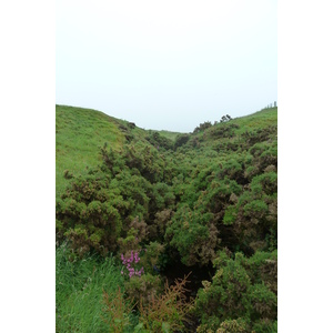 รูปถ่าย อังกฤษ(United Kingdom) สกอตแลนด์(Scotland) ปราสาทดันนอตตาร์(Dunnottar Castle) 2011-07 2