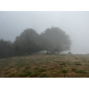 รูปถ่าย ฝรั่งเศส(France) คอร์สิคา(Corsica) ที่พักกัลเลรุชชู(Refuge de Callerucciu) 2022-06 24
