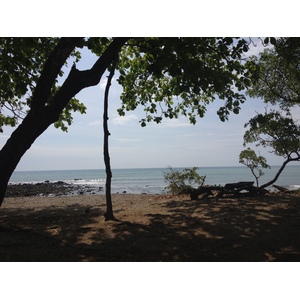 รูปถ่าย คอสตาริกา(Costa Rica) มอนเตซูมา(Montezuma) 2015-03 439