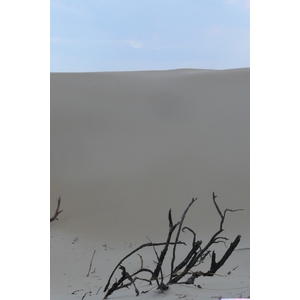 รูปถ่าย แอฟริกาใต้(South Africa) แม่น้ำซันเดส์(Sundays River) 2008-09 107