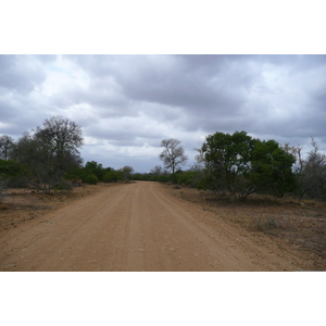 รูปถ่าย แอฟริกาใต้(South Africa) อุทยานแห่งชาติครูเกอร์(Kruger National Park) 2008-09 144