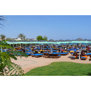 รูปถ่าย อียิปต์(Egypt) ชาร์มเอลชีค(Sharm el Sheikh) 2008-06 40