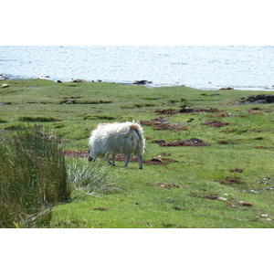 รูปถ่าย อังกฤษ(United Kingdom) เกาะสกาย(Skye) เทือกเขาคูลิน(The Cuillin) 2011-07 24