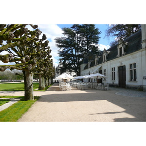 รูปถ่าย ฝรั่งเศส(France) ปราสาทเชอนงโซ(Chenonceau Castle) สวนปราสาทเชอนงโซ(Gardens of Chenonceau) 2008-04 84