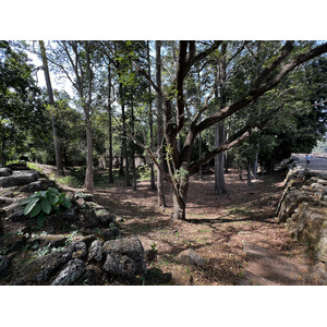 รูปถ่าย กัมพูชา(Cambodia) เสียมราฐ(Siem Reap) นครธม(Angkor Thom) 2023-01 37