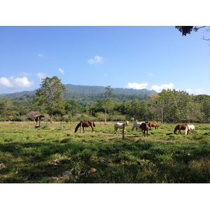 รูปถ่าย คอสตาริกา(Costa Rica) 2015-03 15
